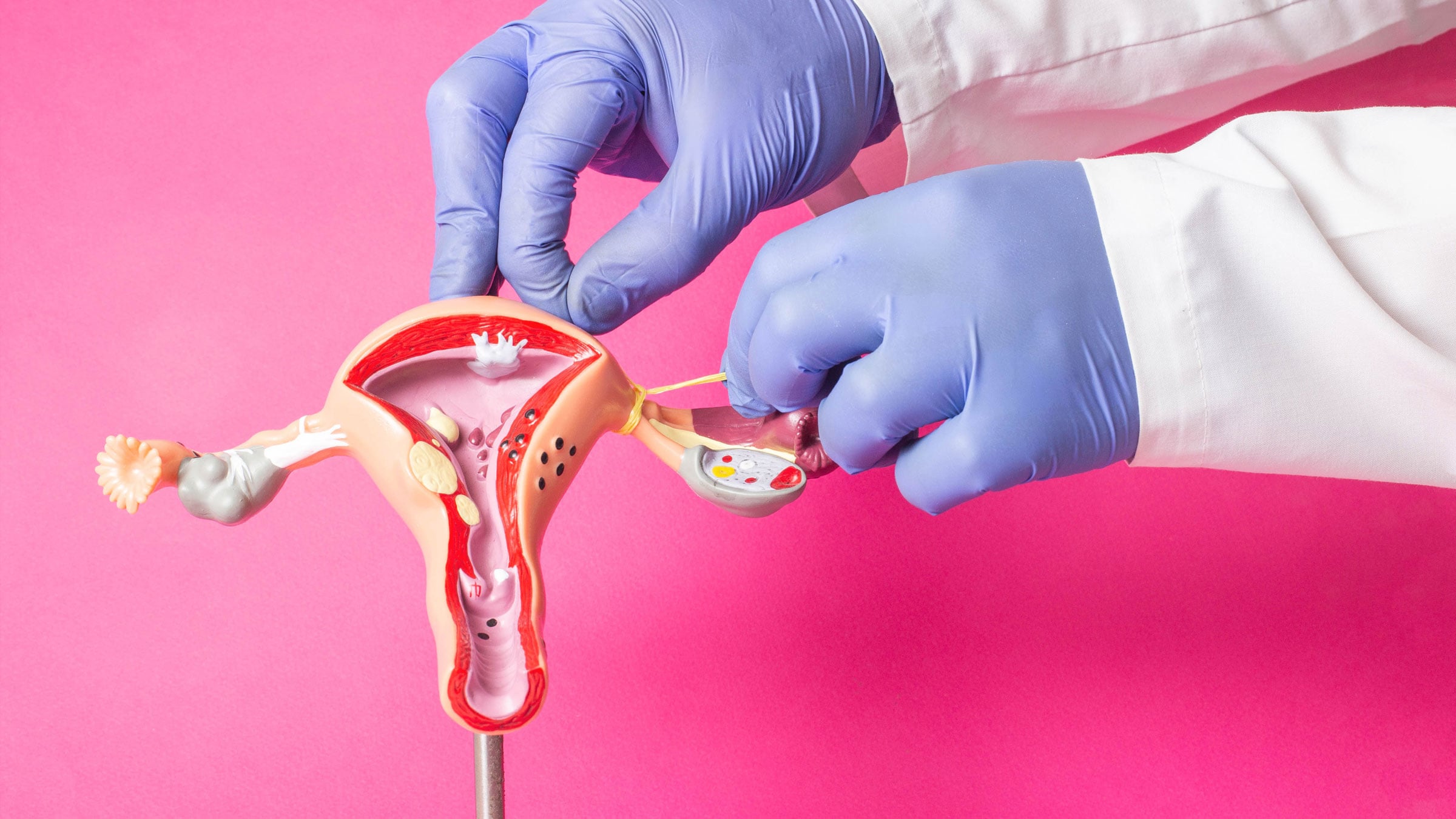 Advanced Women's Healthcare - - 1