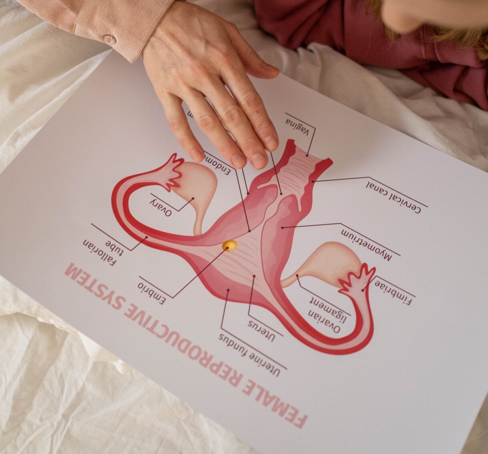 Advanced Women's Healthcare - - 1