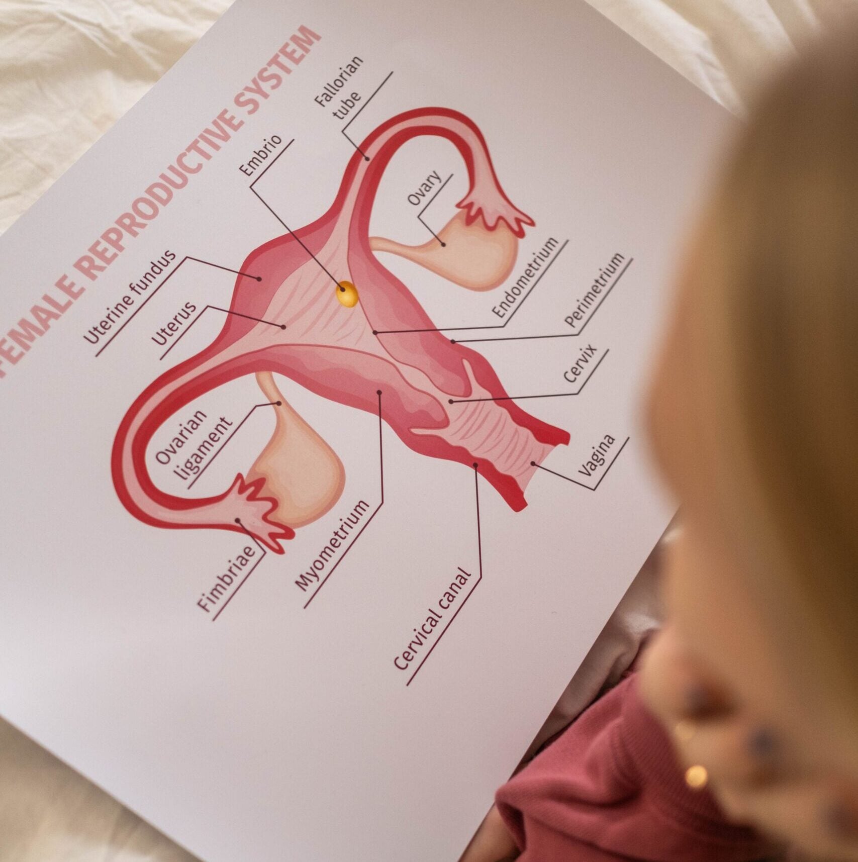 Advanced Women's Healthcare - - 1